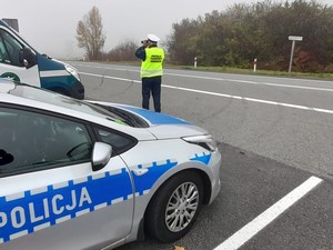 na poboczu stoi funkcjonariusz inspekcji transportu drogowego, obserwuje ruch pojazdów, obok niego stoi radiowóz