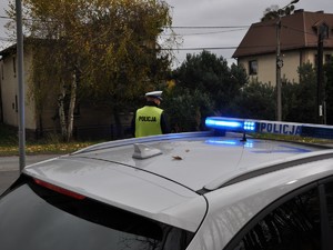 policjant stoi przy drodze, obserwuje ruch pojazdów