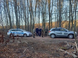 radiowóz i samochód Straży Leśnej stoją zaparkowane jeden za drugim, pomiędzy pojazdami stoją policjanci i Strażnicy Leśni