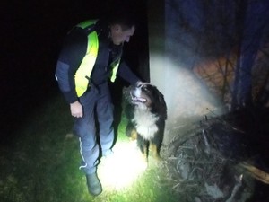 Na zdjęciu widnieje policjant trzymający psa.