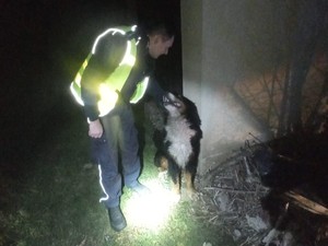 Na zdjęciu widnieje policjant trzymający psa.