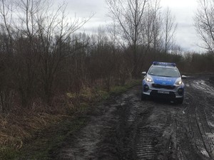 na grząskiej drodze stoi policyjny radiowóz, po obu stronach drogi znajduje się las