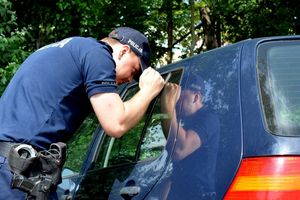 Na zdjęciu widać policjanta, który patrzy do rozgrzanego samochodu, czy nie mam w nim dzieci lub zwięrząt.