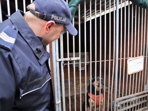 policjant stoi obok klatki, w której jest piesek