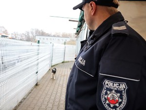 policjant obserwuje spacerującego psa